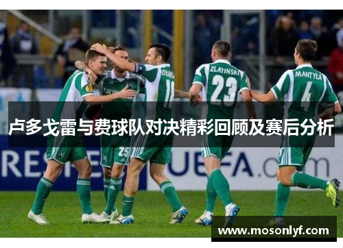 卢多戈雷与费球队对决精彩回顾及赛后分析